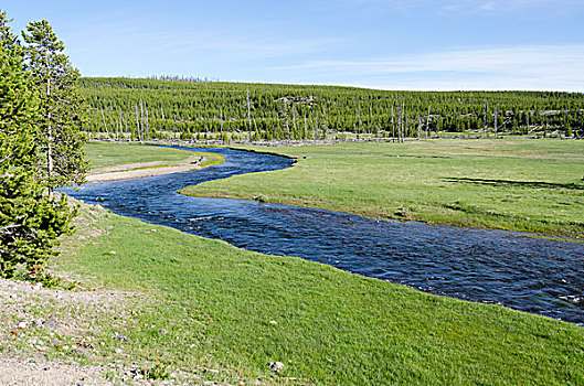 cau bach thu 888