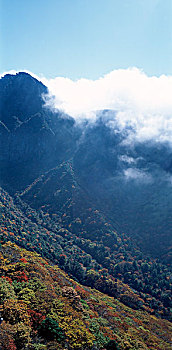soi cau bach thu lo khung 3 ngay