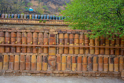 soi cau lo hai nhay rong bach kim