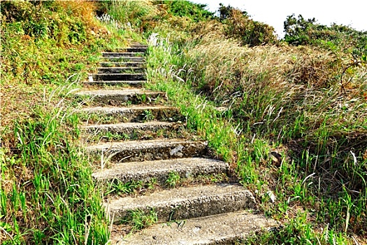 trực tiếp xổ số long an