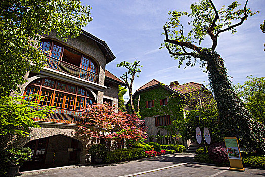 xs minh ngoc thu 2