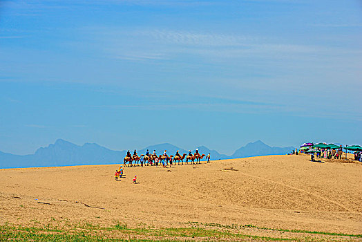 soi cầu chốt số
