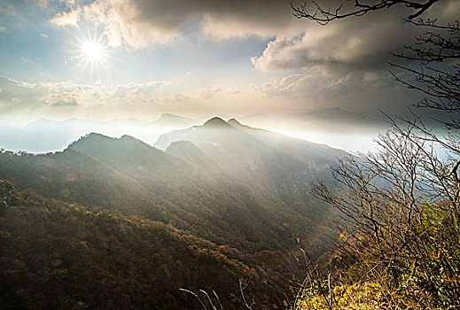bạch thủ ngày hôm nay