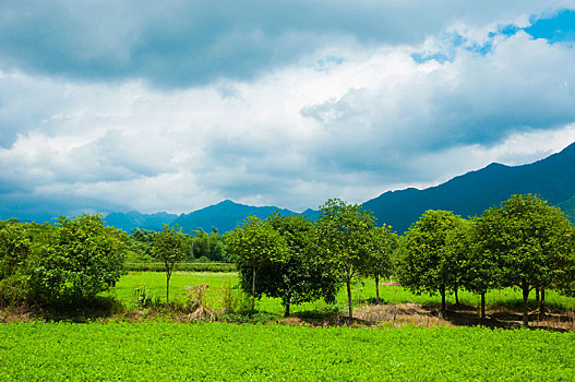 xổ số kiến thiết trà vinh