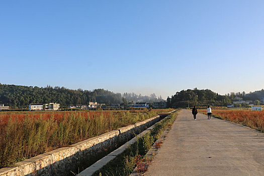 số cà mau