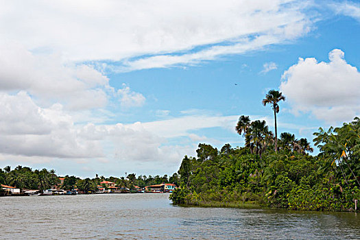 soi cau dai loc