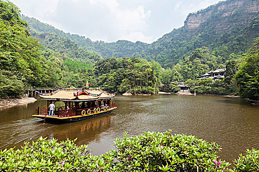 soi cau bach thu lo hom nay