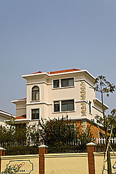 xs t6