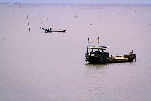 du doan mn minh ngoc