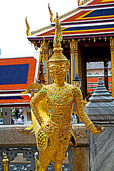 rong bach kim soi cau lo de