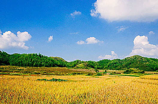 quay thử xổ số đắk lắk