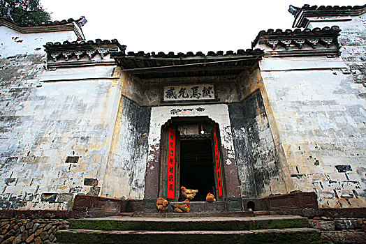 rong bach kim 888 giờ chốt vàng