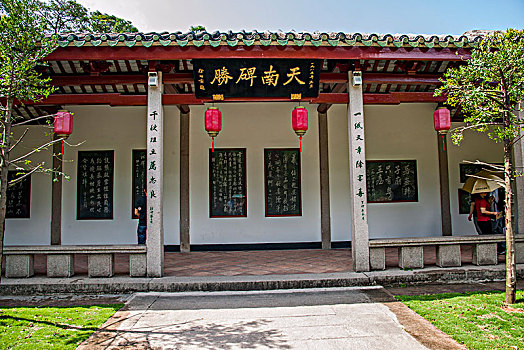 soi cau 88 rong bach kim