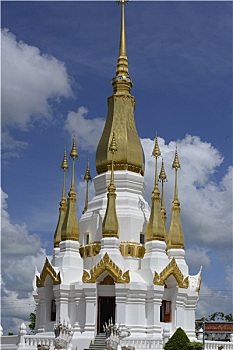 soi cau mb sieu chuan