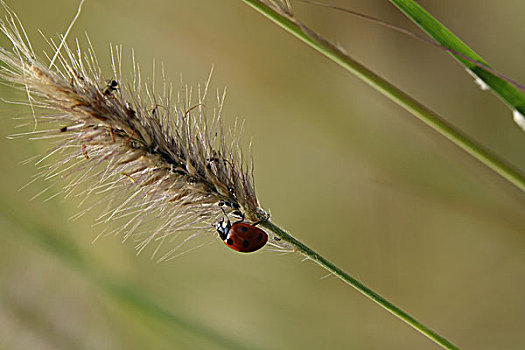 xổ số 3 miền