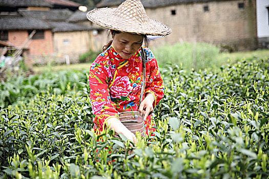 soi cầu tot