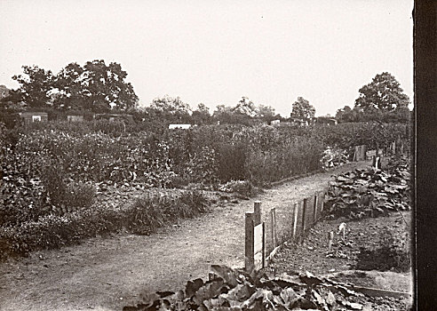 soi cau vang