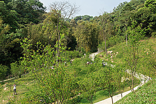 soi cau bach kim 888