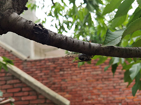 du doan kqxs 3 miền