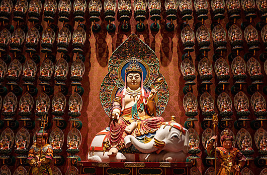 bạch thủ lô tô