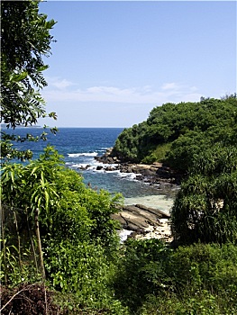 soi cau
