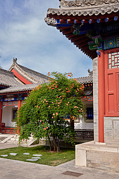 soi cau xs minh ngoc