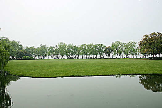 soi bạch thủ