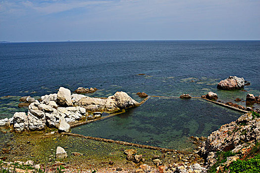 cau mb