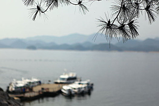 lô khung 5 ngày