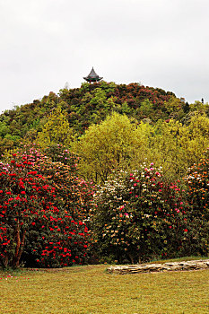 soi cau xsmb bach thu hom nay