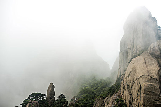 dự đoán mn