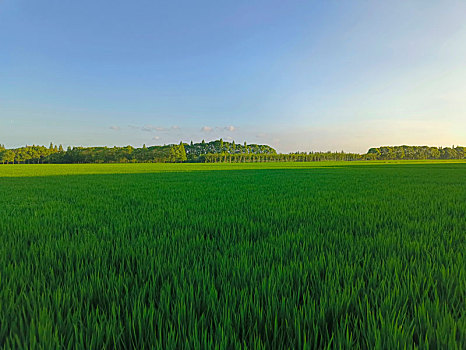 du doan xo so trung thuong hom nay