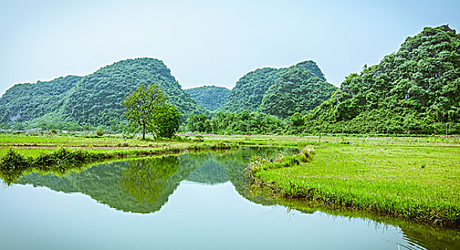 dự đoán xỉu chủ