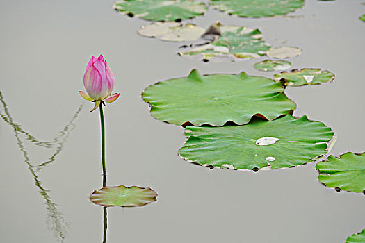 xổ số thứ 2