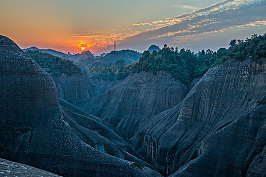 cau bạch thu xsmb