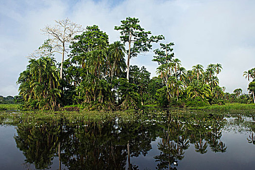xs trực tiếp