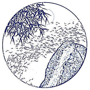 thong ke rong bach kim