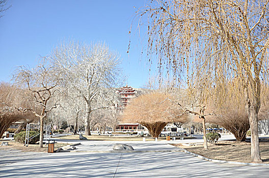soicau rongbachkim