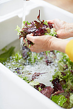 dự đoán xổ số miền bắc ngày mai
