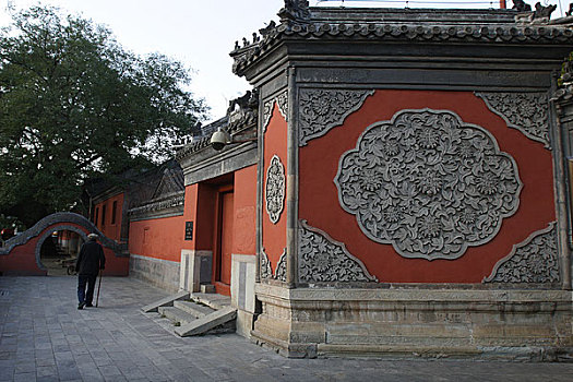 bachthu lode mienbac