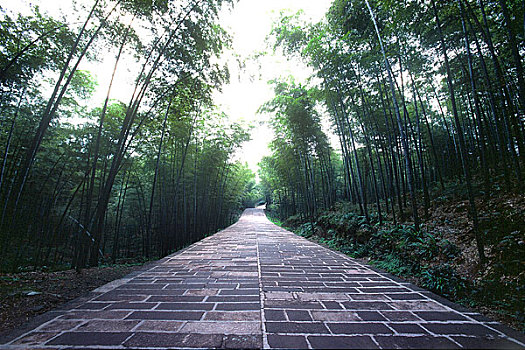 xổ số miền nam ba đài