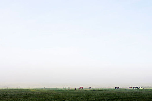 thần lô đề