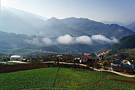 lo khung bach thu 3 ngay