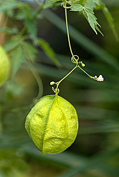 chơi đề