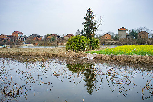 dự đoán bạch thủ đề hôm nay