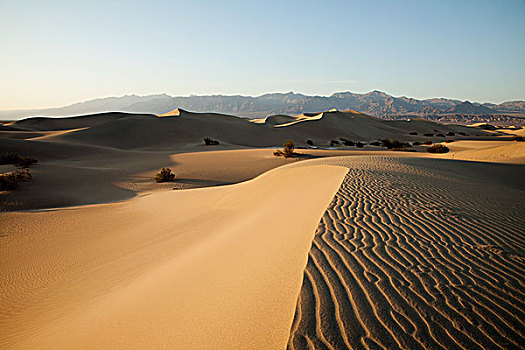 soi cau bach thu mb hom nay