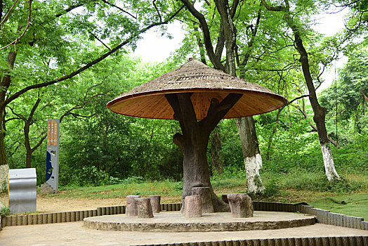 xổ số thành phố thứ hai