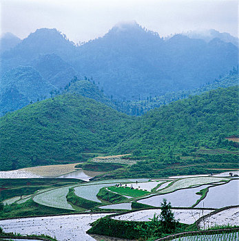 soi cau loc phat ngay mai