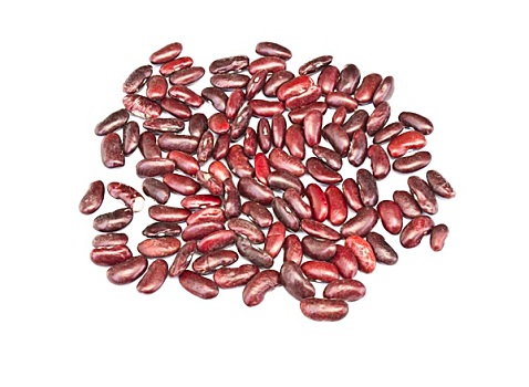 dự đoán đài phát miền nam