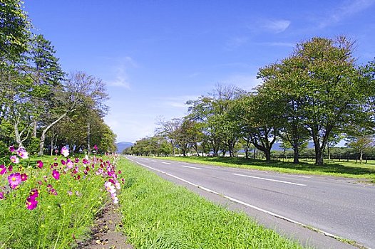 hôm nay lô về con gì